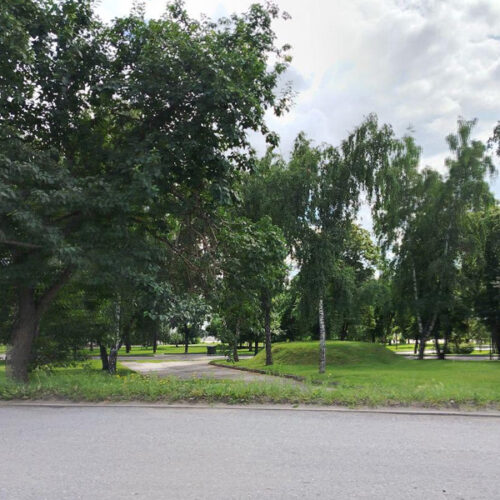 Дождливые и прохладные будни обещают синоптики новосибирцам