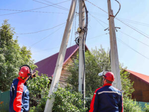 Новосибирские энергетики зафиксировали самовольные подвесы еще на 770 опорах ЛЭП