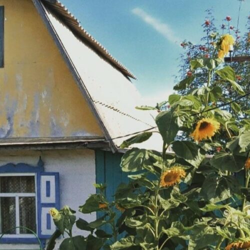 Новосибирским дачникам с 1 сентября запретят вести бизнес на садовых участках