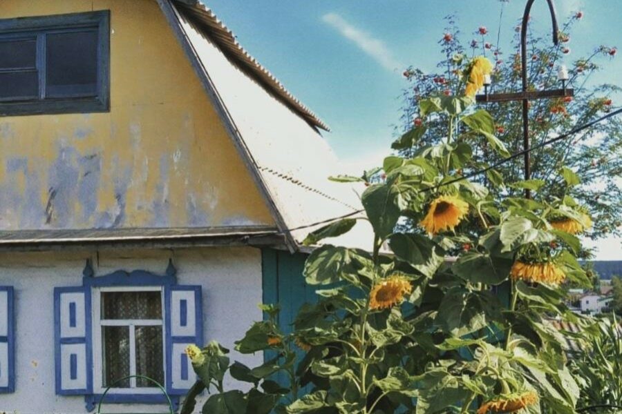 Новосибирским дачникам с 1 сентября запретят вести бизнес на садовых участках