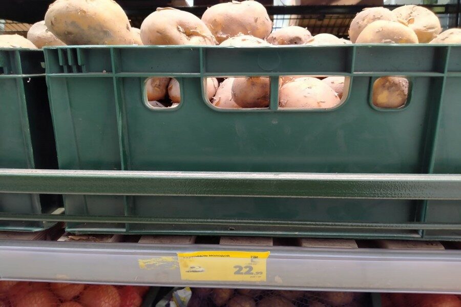 В Новосибирске картофель подешевел до 22 рублей за килограмм