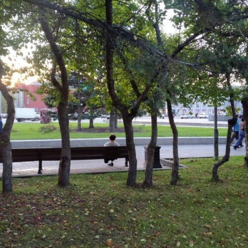 Новосибирцы оценили свою удовлетворенность жизнью на 5,8 балла из 10