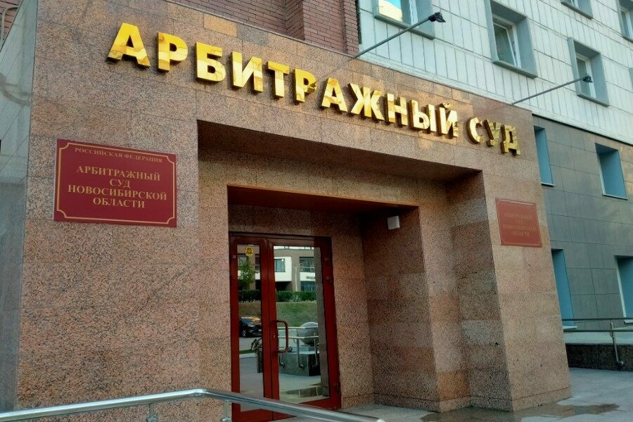 В Новосибирске резко сократилось число судебных дел с участием иностранцев