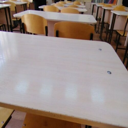 В новосибирской школе набрали 12 первых классов