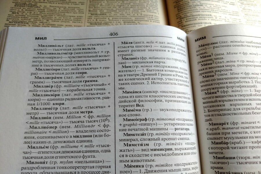 «Мильон и мильярд»: новосибирские филологи высказались о новых вариантах произношения слов