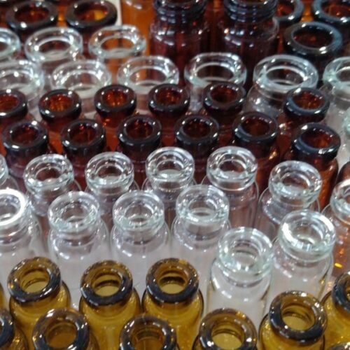 Новосибирские ученые разработали препарат от описторхоза на основе хищного гриба