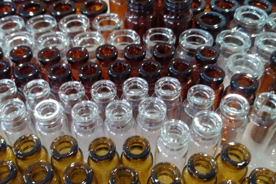 Новосибирские ученые разработали препарат от описторхоза на основе хищного гриба