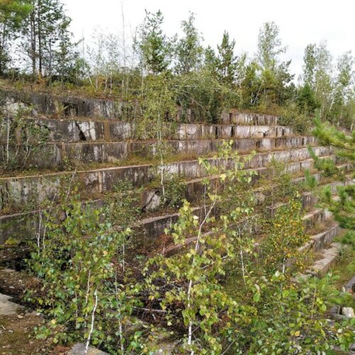 Исследователь рассказал, где в Новосибирской области видны следы древнего моря