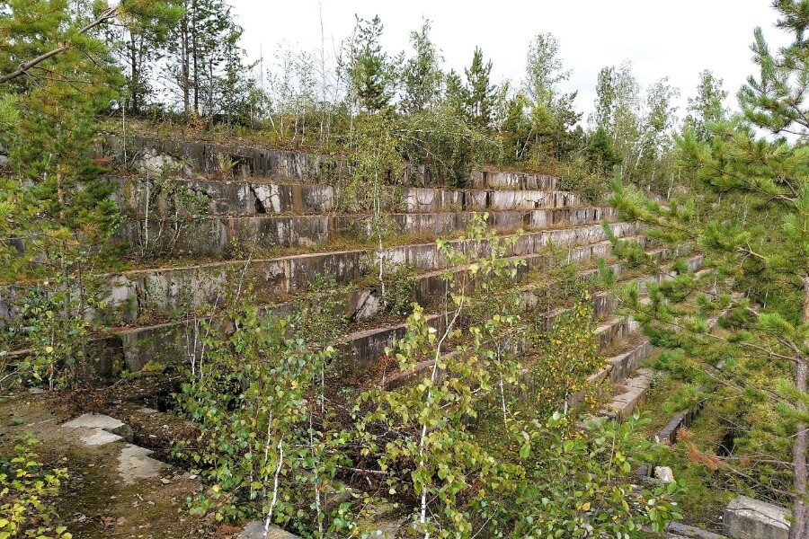 Исследователь рассказал, где в Новосибирской области видны следы древнего моря