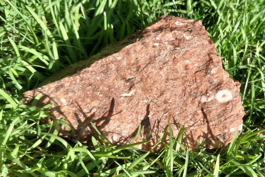 Одна из находок Игоря Степанова