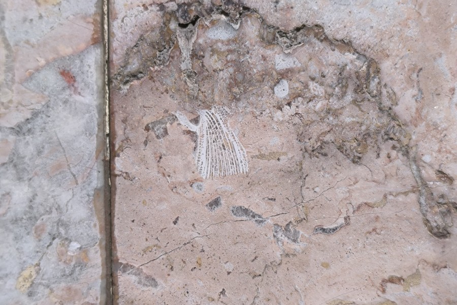 Одна из находок на стене медсанчсти