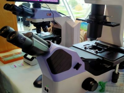 В Новосибирске вырос спрос на генетические паспорта и тесты на отцовство