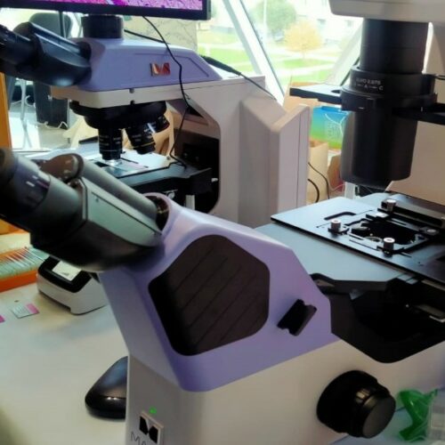 В Новосибирске вырос спрос на генетические паспорта и тесты на отцовство