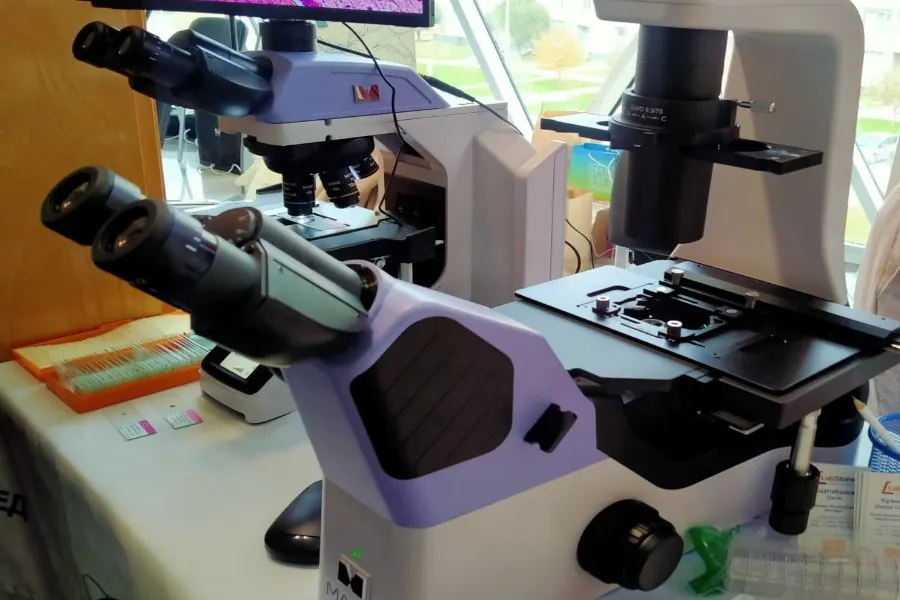 В Новосибирске вырос спрос на генетические паспорта и тесты на отцовство