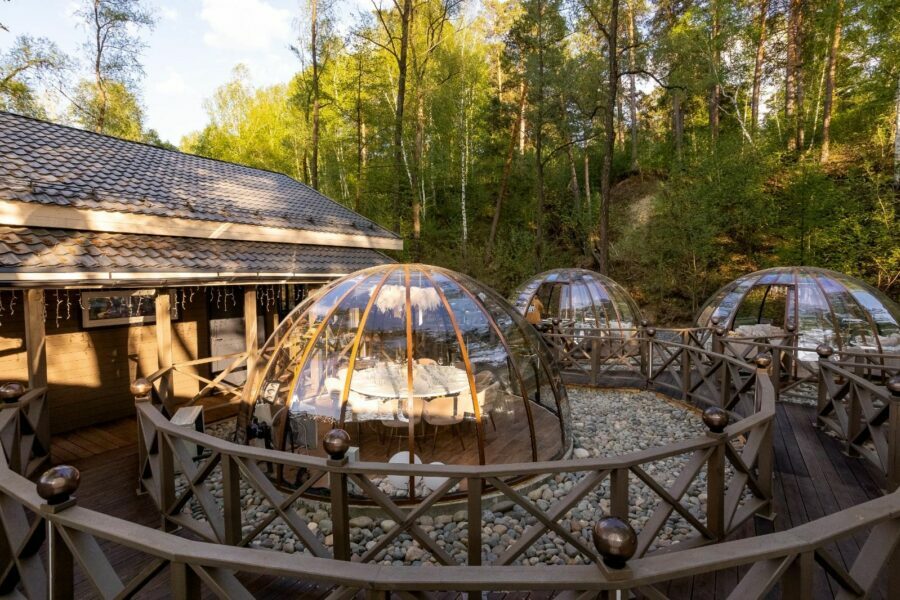 Новосибирские рестораны удивляют на «Технопроме» сибирскими блюдами