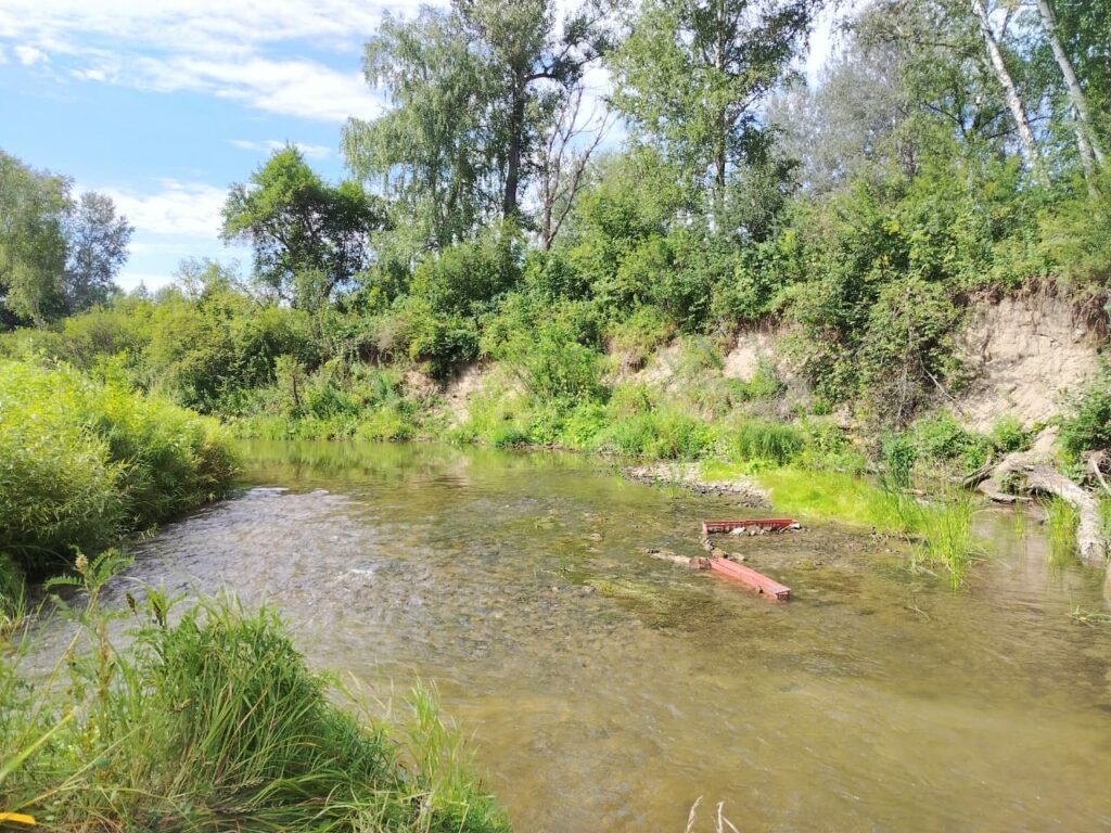 Новые реки и озёра появились в географическом каталоге Новосибирской области