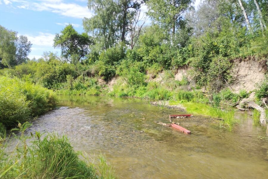 Новые реки и озёра появились в географическом каталоге Новосибирской области