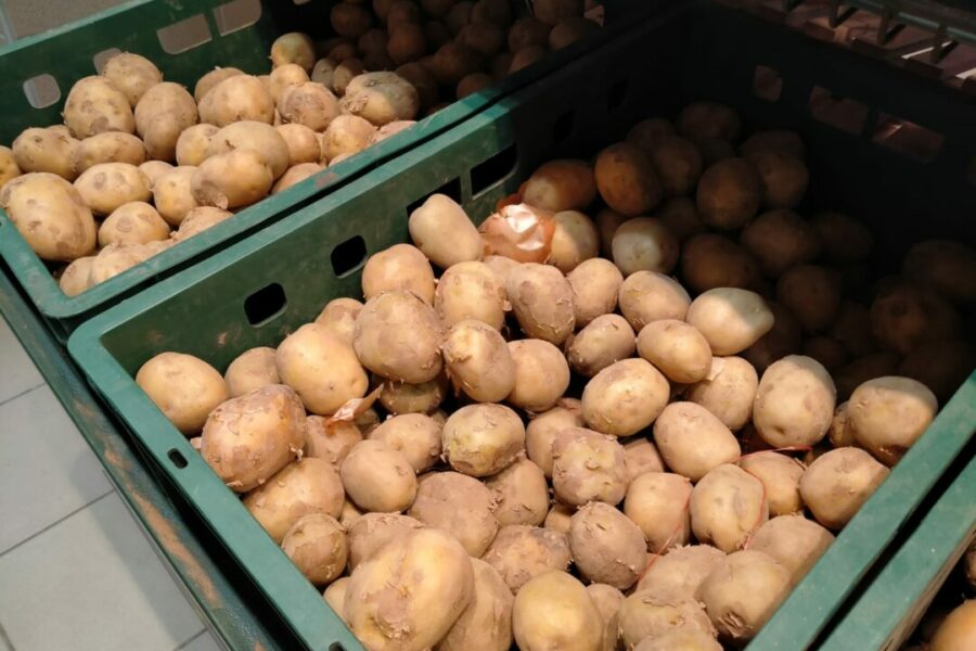 Цены на картофель снизились в Новосибирской области