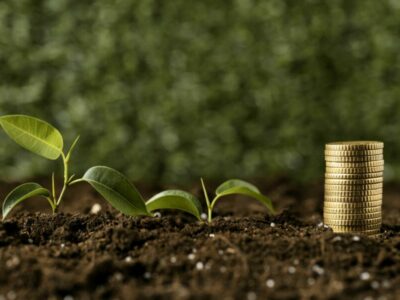 Новосибирцы выбирают краткосрочные вклады