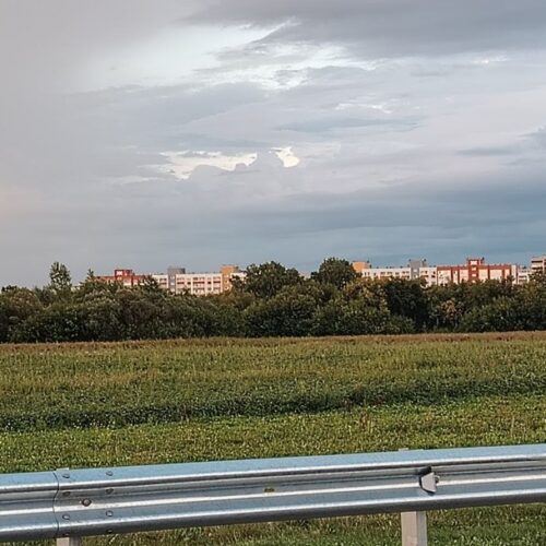 Новосибирский научный центр вернет в бюджет 41 млн рублей