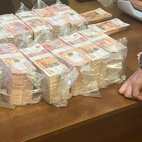 В Новосибирске у мошенников изъяли 72 млн рублей и 240 банковских карт