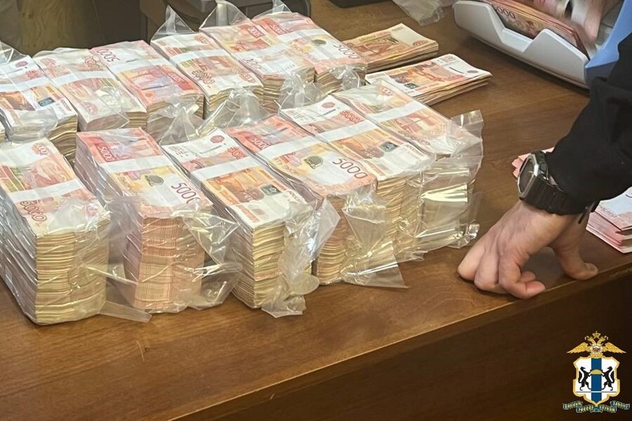В Новосибирске у мошенников изъяли 72 млн рублей и 240 банковских карт