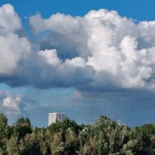 Дожди ожидают новосибирцев на предстоящих выходных