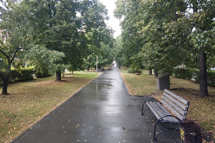 Метеорологи ожидают, что осень в Новосибирске будет рекордно теплой