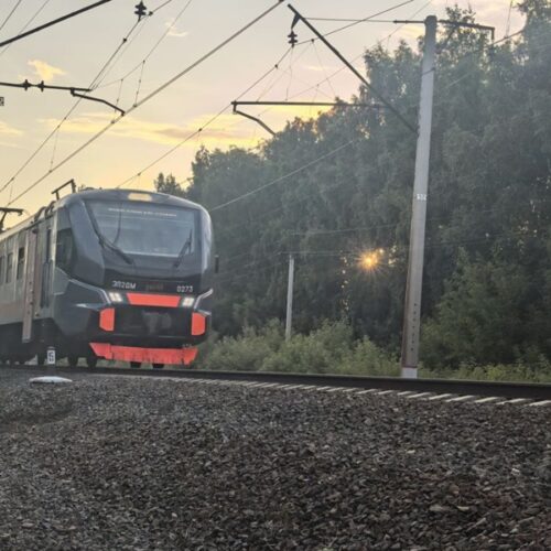 Количество школьников в Новосибирске пока еще растет за счет миграции