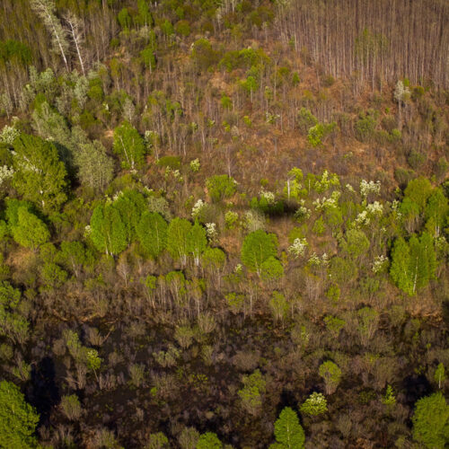 поиски человека