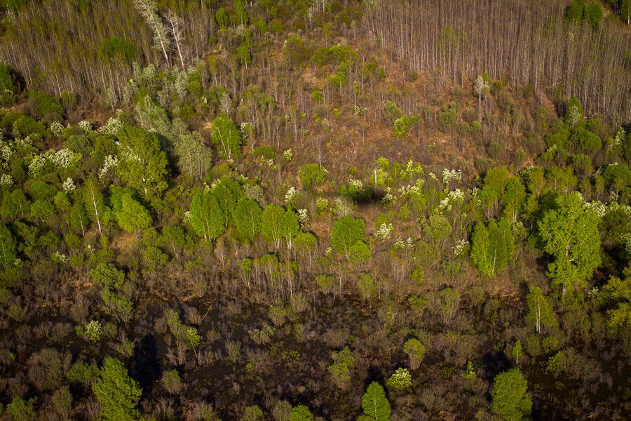 поиски человека