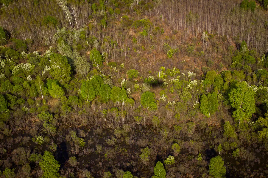 Ограничения мобильной связи мешают поисковикам в работе