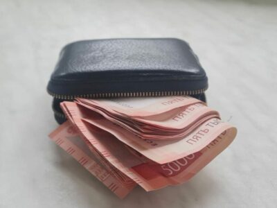 Государство инвестировало в долгосрочные сбережения граждан