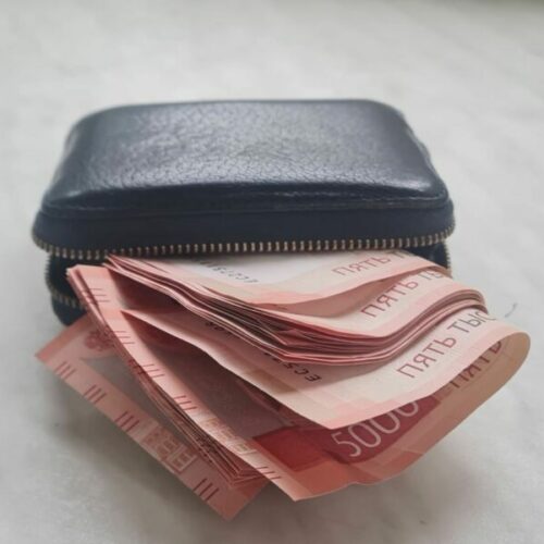 Государство инвестировало в долгосрочные сбережения граждан