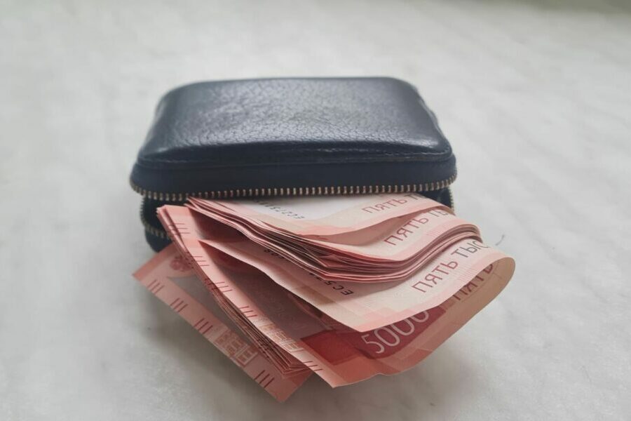 Государство инвестировало в долгосрочные сбережения граждан