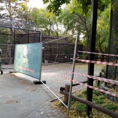 В Новосибирском зоопарке проводку ремонтировали полторы недели назад