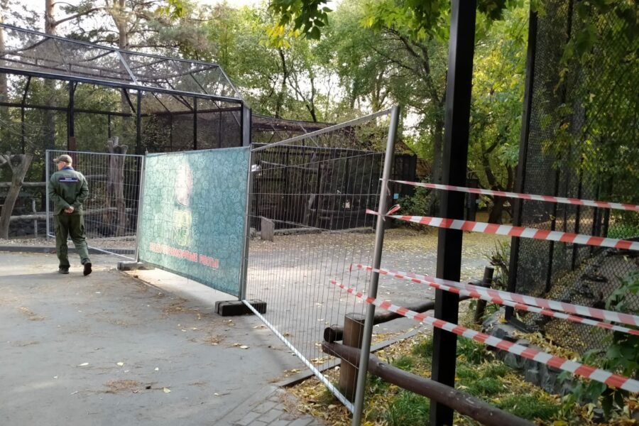 В Новосибирском зоопарке проводку ремонтировали полторы недели назад