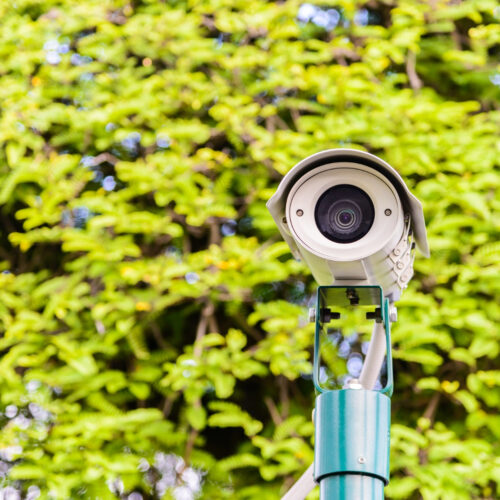 В Новосибирске нейросеть помогла задержать 2 тысячи преступников