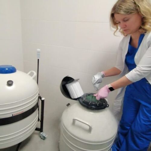 Новосибирский врач ответила на вопрос о роботах для вынашивания детей