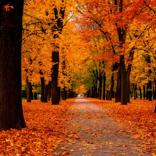 Эксперты рассказали, как бороться с осенней хандрой в Новосибирске