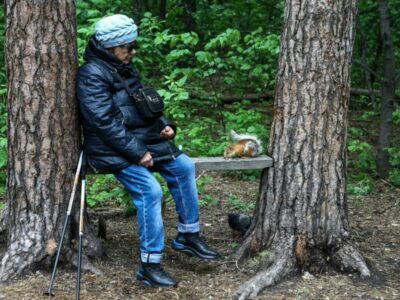 Инюшенский бор в Новосибирске будет благоустроен с акцентом на естественность