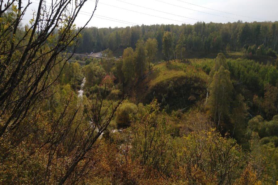 В Новосибирском районе зарегистрировано самое большое количество укусов клещами