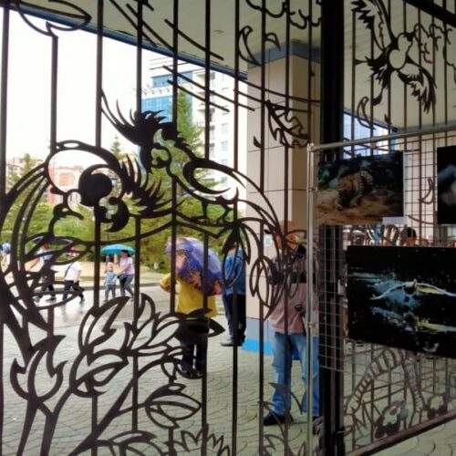 Животные погибли в ночном пожаре в Новосибирском зоопарке