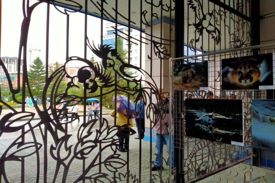 Животные погибли в ночном пожаре в Новосибирском зоопарке