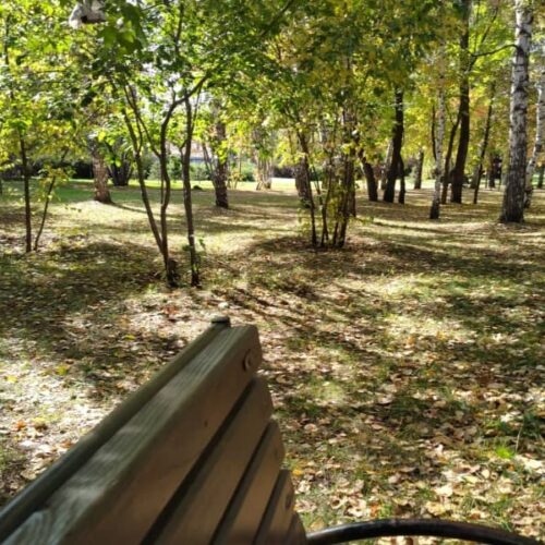 Метеоролог Валерий Токарев: Новосибирск на месяц вернулся в лето, но это не аномалия