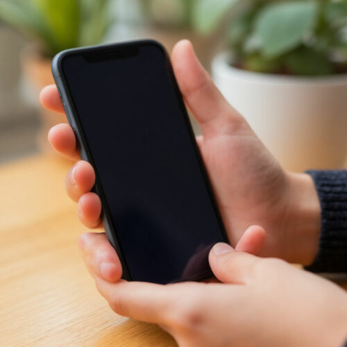 В Новосибирской области определили самый востребованный мессенджер