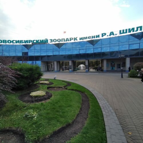 Новосибирский зоопарк предупредил о риске обмена помогающих после пожара