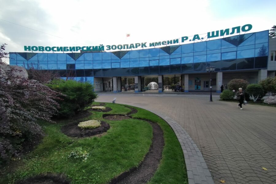 Новосибирский зоопарк предупредил о риске обмена помогающих после пожара