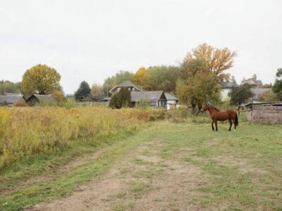 Цифровая модернизация охватила 12 населенных пунктов Новосибирской области