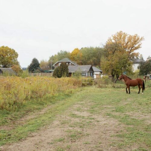 Цифровая модернизация охватила 12 населенных пунктов Новосибирской области